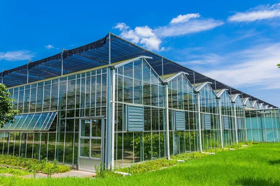 Glass Greenhouse detail 2